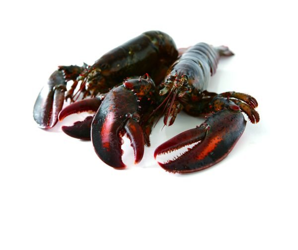 UHP Whole Raw Lobsters per piece (450-500g)